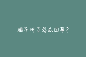 猫不叫了怎么回事?