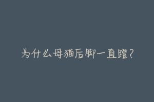 为什么母猫后脚一直蹬?