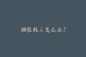猫很粘人怎么办?