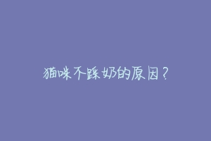 猫咪不踩奶的原因?