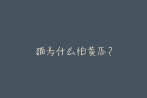 猫为什么怕黄瓜?