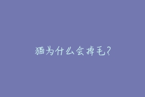 猫为什么会掉毛?