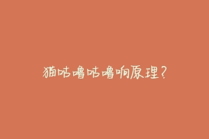 猫咕噜咕噜响原理?