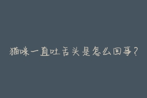 猫咪一直吐舌头是怎么回事?