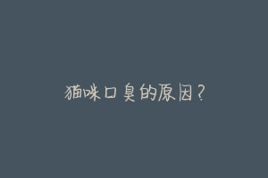 猫咪口臭的原因?