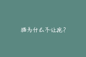 猫为什么不让抱?