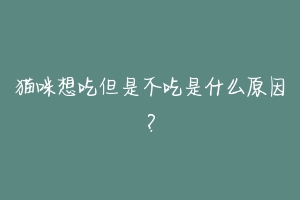 猫咪想吃但是不吃是什么原因?