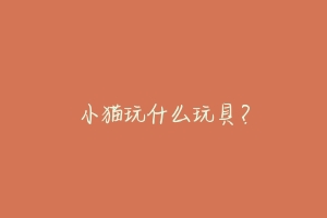 小猫玩什么玩具?