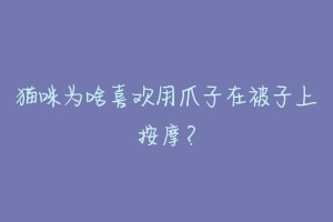 猫咪为啥喜欢用爪子在被子上按摩？
