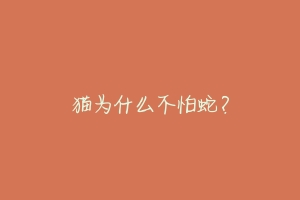猫为什么不怕蛇？