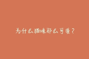 为什么猫咪那么可爱?