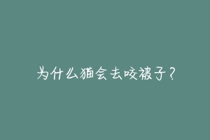 为什么猫会去咬被子？