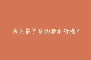 掉毛最严重的猫排行榜?