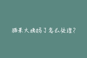 猫来大姨妈了怎么处理?