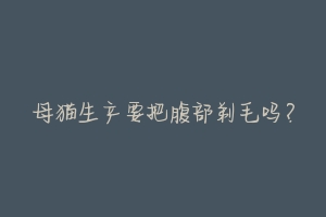 母猫生产要把腹部剃毛吗?