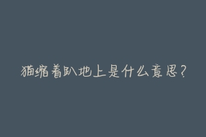 猫缩着趴地上是什么意思?