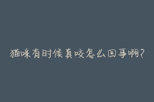 猫咪有时候真咬怎么回事啊?