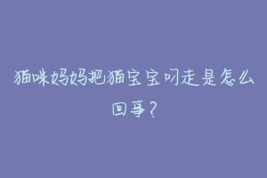 猫咪妈妈把猫宝宝叼走是怎么回事?
