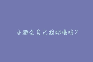 小猫会自己找奶喝吗?