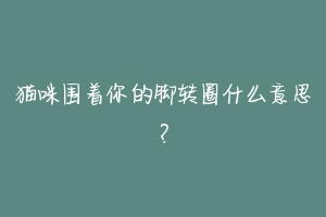 猫咪围着你的脚转圈什么意思?