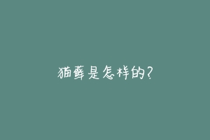 猫藓是怎样的?