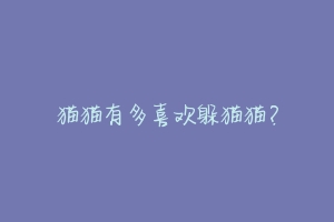 猫猫有多喜欢躲猫猫?