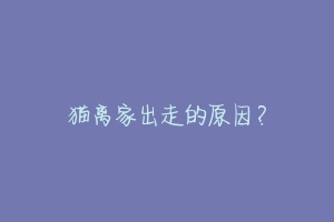 猫离家出走的原因?