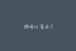 猫咪吐黄水?