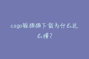 csgo躲猫猫下载为什么这么慢？