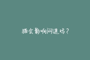 猫会影响网速吗?