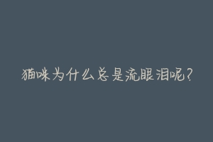猫咪为什么总是流眼泪呢?