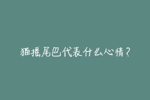 猫摇尾巴代表什么心情?
