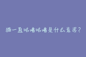猫一直咕噜咕噜是什么意思?