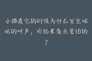 小猫摸它的时候为什么发出咕咕的叫声,听起来有点害怕的?