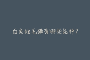白色短毛猫有哪些品种?