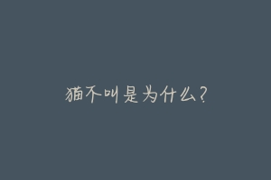 猫不叫是为什么?