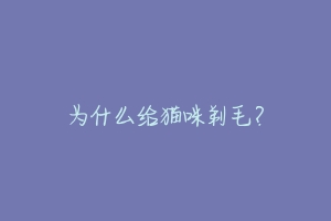 为什么给猫咪剃毛?