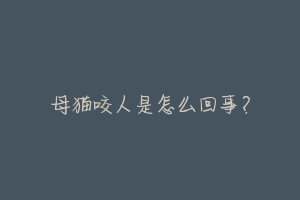 母猫咬人是怎么回事?