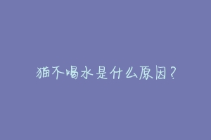 猫不喝水是什么原因?