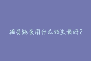猫有跳蚤用什么驱虫最好?