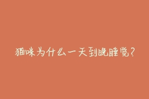 猫咪为什么一天到晚睡觉？