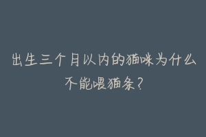 出生三个月以内的猫咪为什么不能喂猫条?