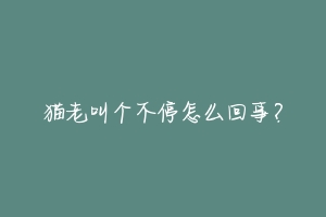猫老叫个不停怎么回事?