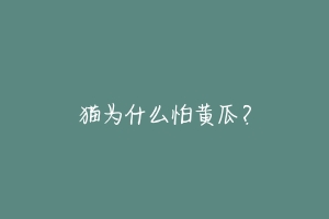 猫为什么怕黄瓜?