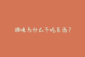 猫咪为什么不吃东西?