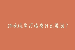猫咪经常打喷嚏什么原因?