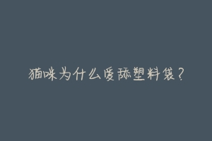 猫咪为什么爱舔塑料袋?
