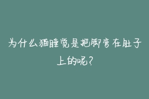 为什么猫睡觉是把脚弯在肚子上的呢?