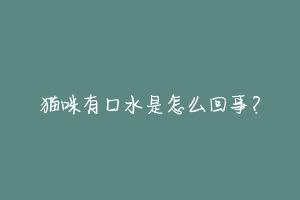 猫咪有口水是怎么回事?