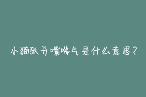 小猫张开嘴喘气是什么意思?